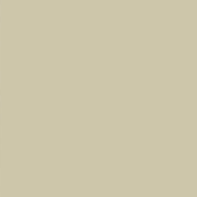 AlmondTan Color