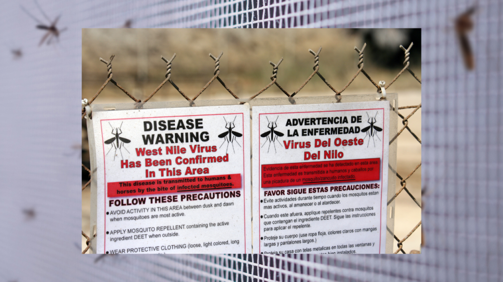 Keeping mosquitoes away and safe from West Nile Virus and other mosquito spread diseases