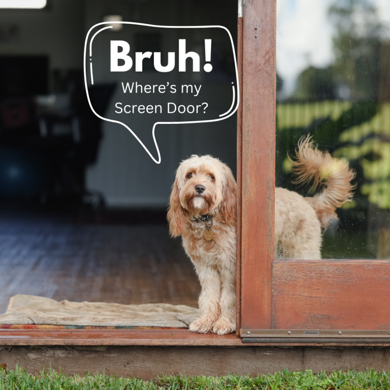 Bruh I need a screen door with pet screen by the foot
