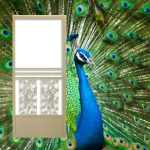 Tan El Dorado Screen Door - Swinging with Peacock Design Colorful